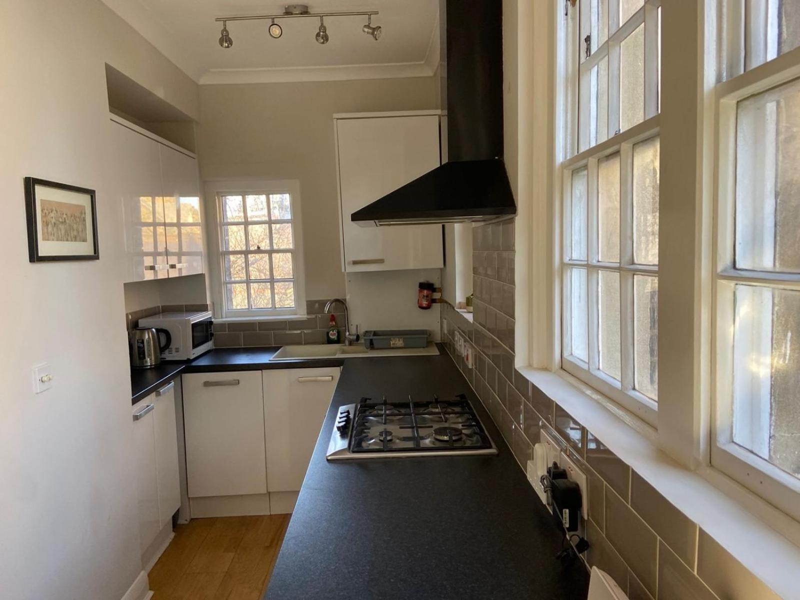Period Apartment On South Bank London Exteriör bild