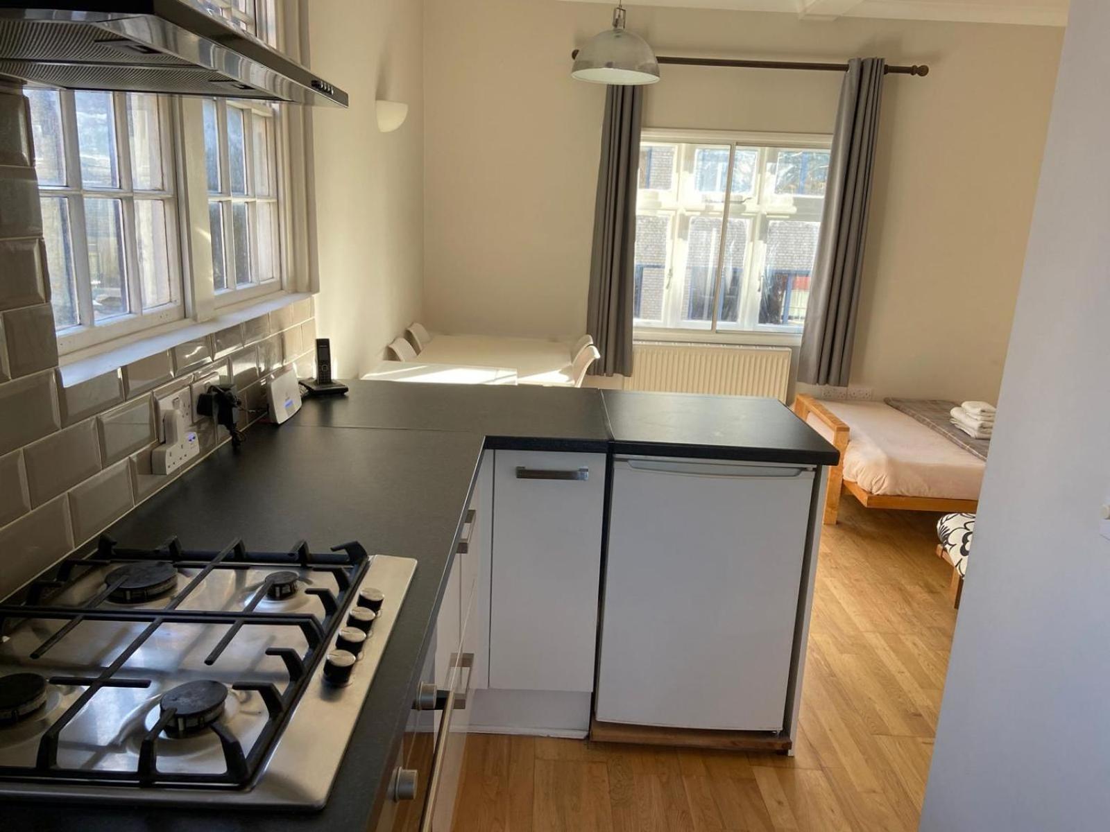 Period Apartment On South Bank London Exteriör bild